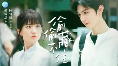 偷偷藏不住